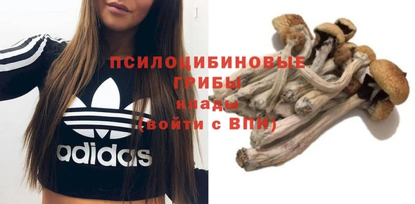 гашиш Каменногорск