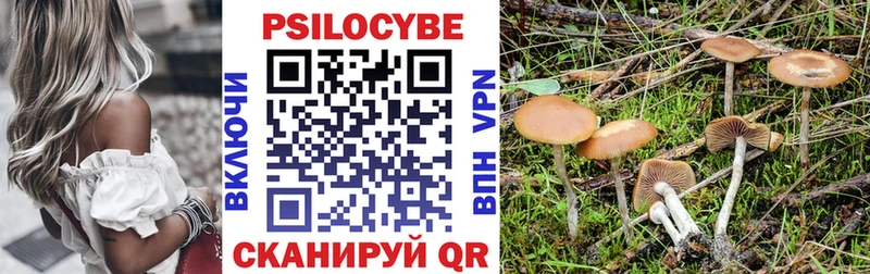 Псилоцибиновые грибы мицелий  Купить закладки  Бутурлиновка 